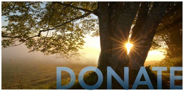 Donation Image